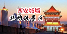 18岁的女子被男子的鸡巴插的嗷嗷叫的视频中国陕西-西安城墙旅游风景区
